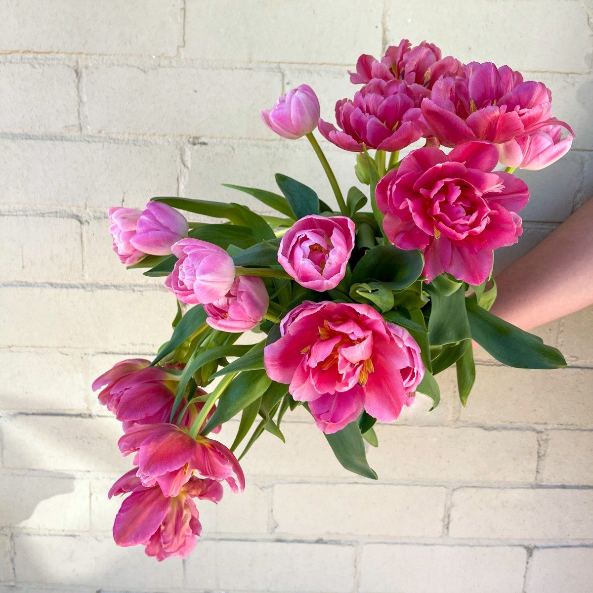 Little Flowers Online Flower Delivery Sydney