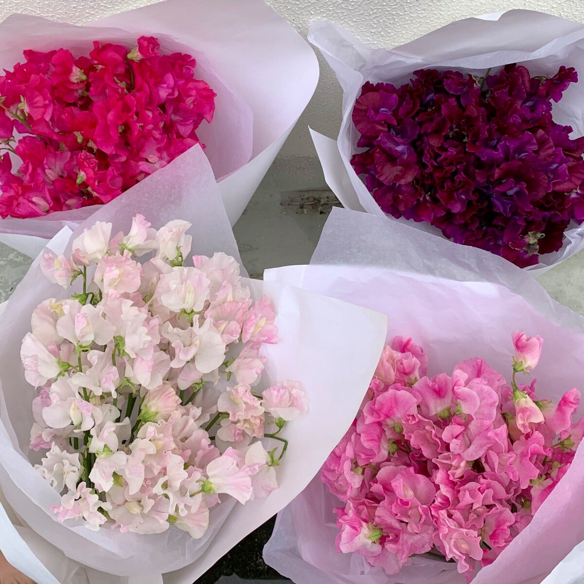 Flower Bouquets Send Flowers Sydney Little Flowers