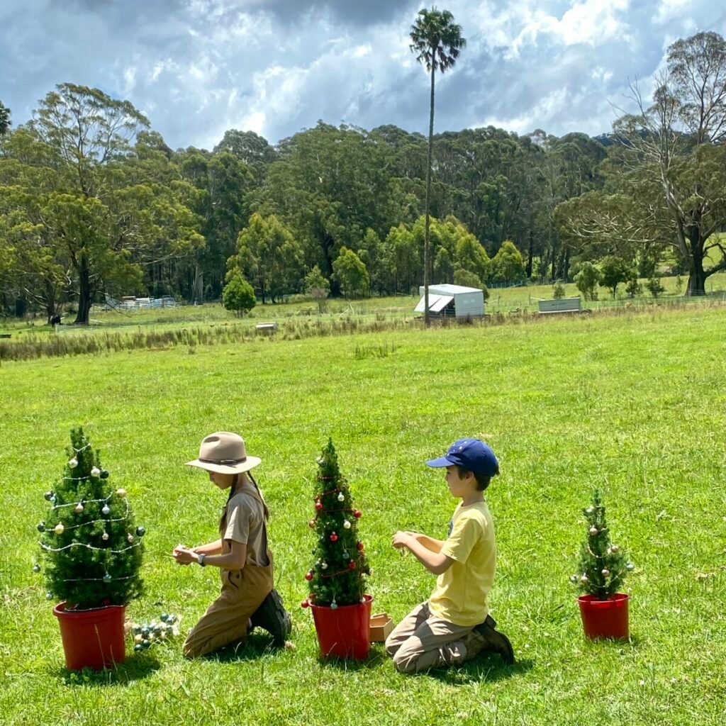 , Delivering Sydney Christmas Trees…then delivering them back to Earth.