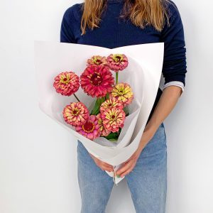 bunck of zinnias in autumnal tones