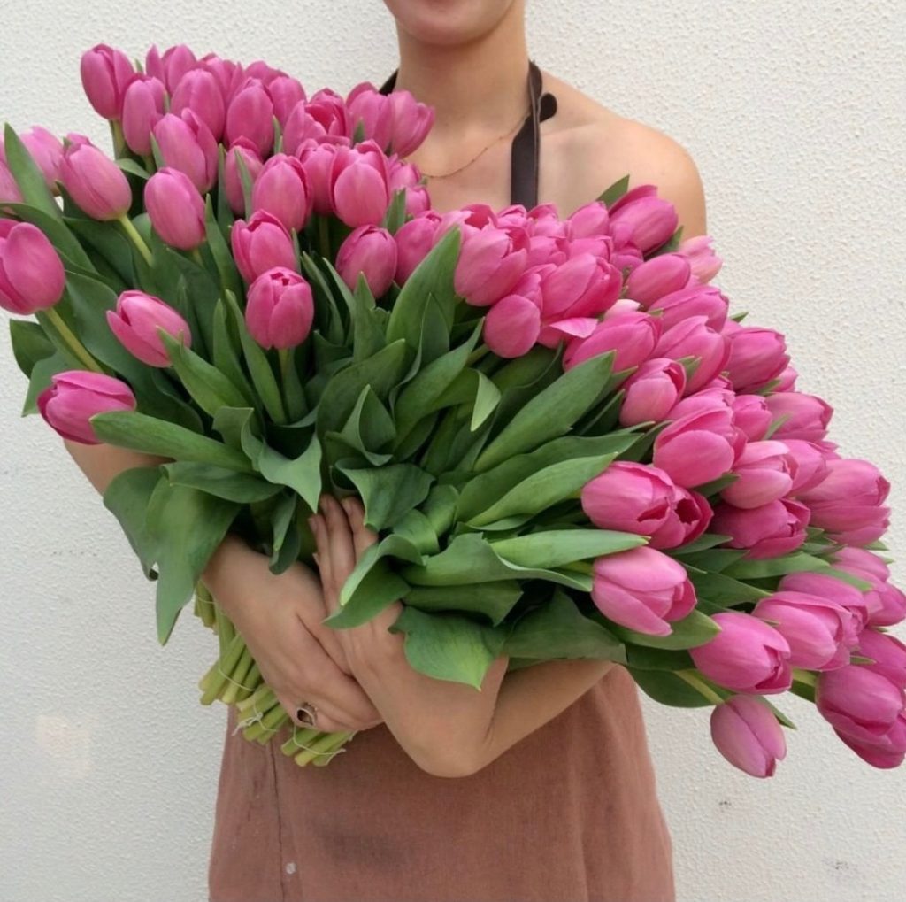 Armful of classic pink tulips freshly harvested for Sydney winter flower delivery