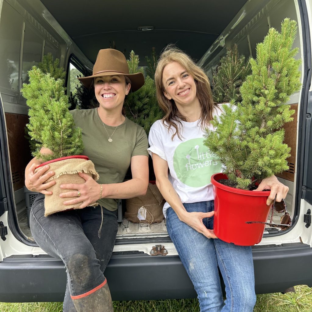 Little Flowers team loading mini live Christmas trees into van for Sydney delivery