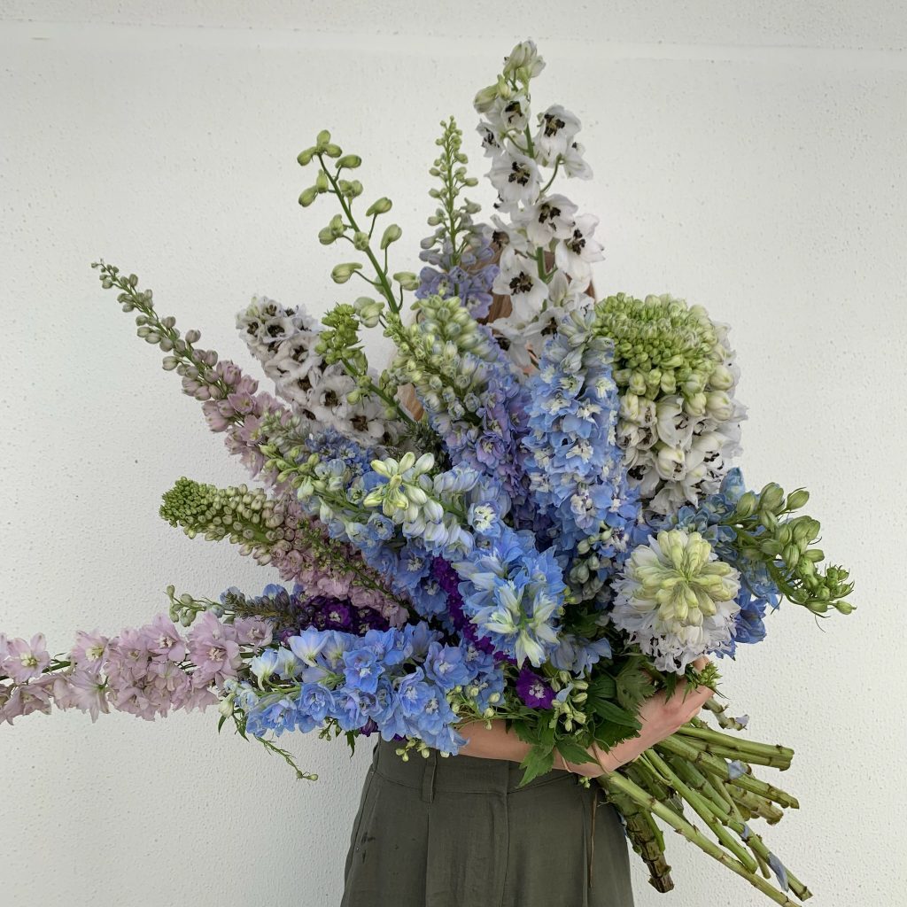 Florist holding armful of delphinium stems in shades of blue, white and lilac
