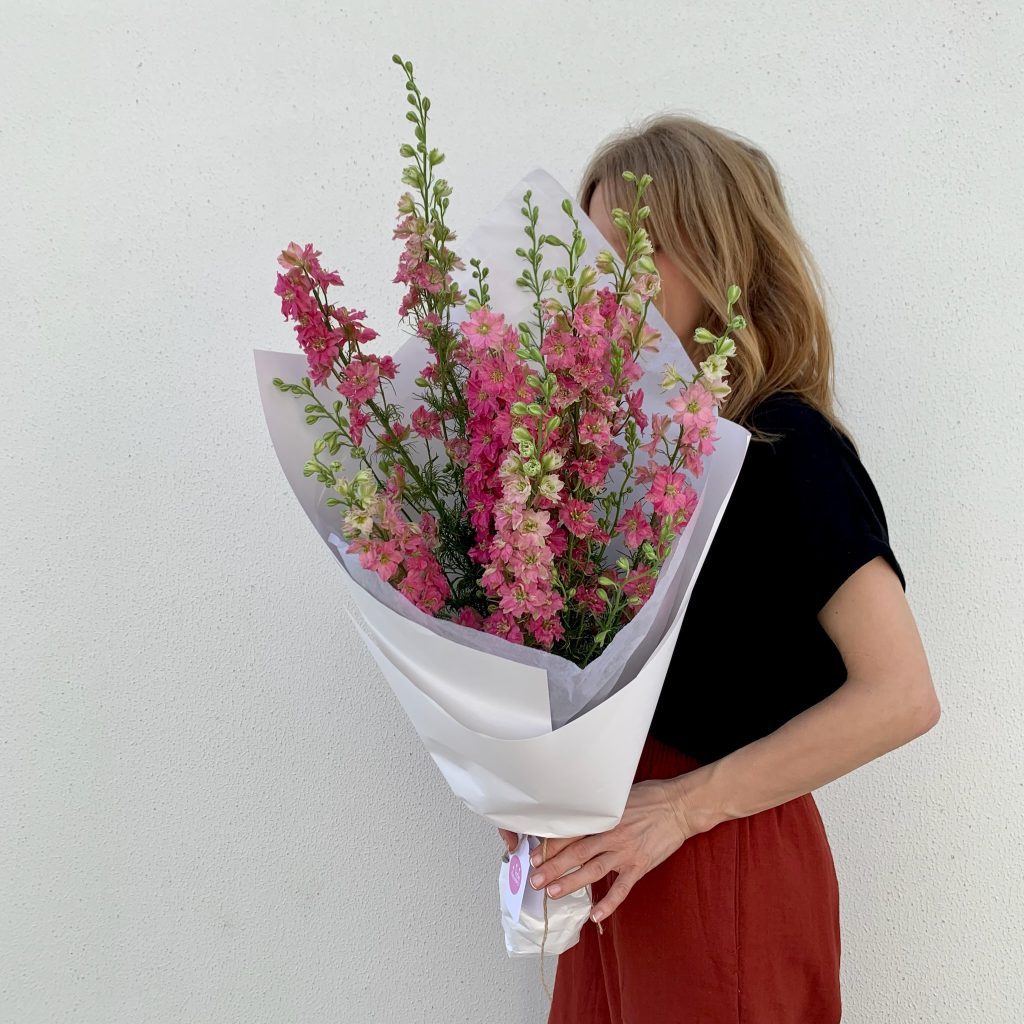 Bunch of pink larkspur flowers held in white wrap