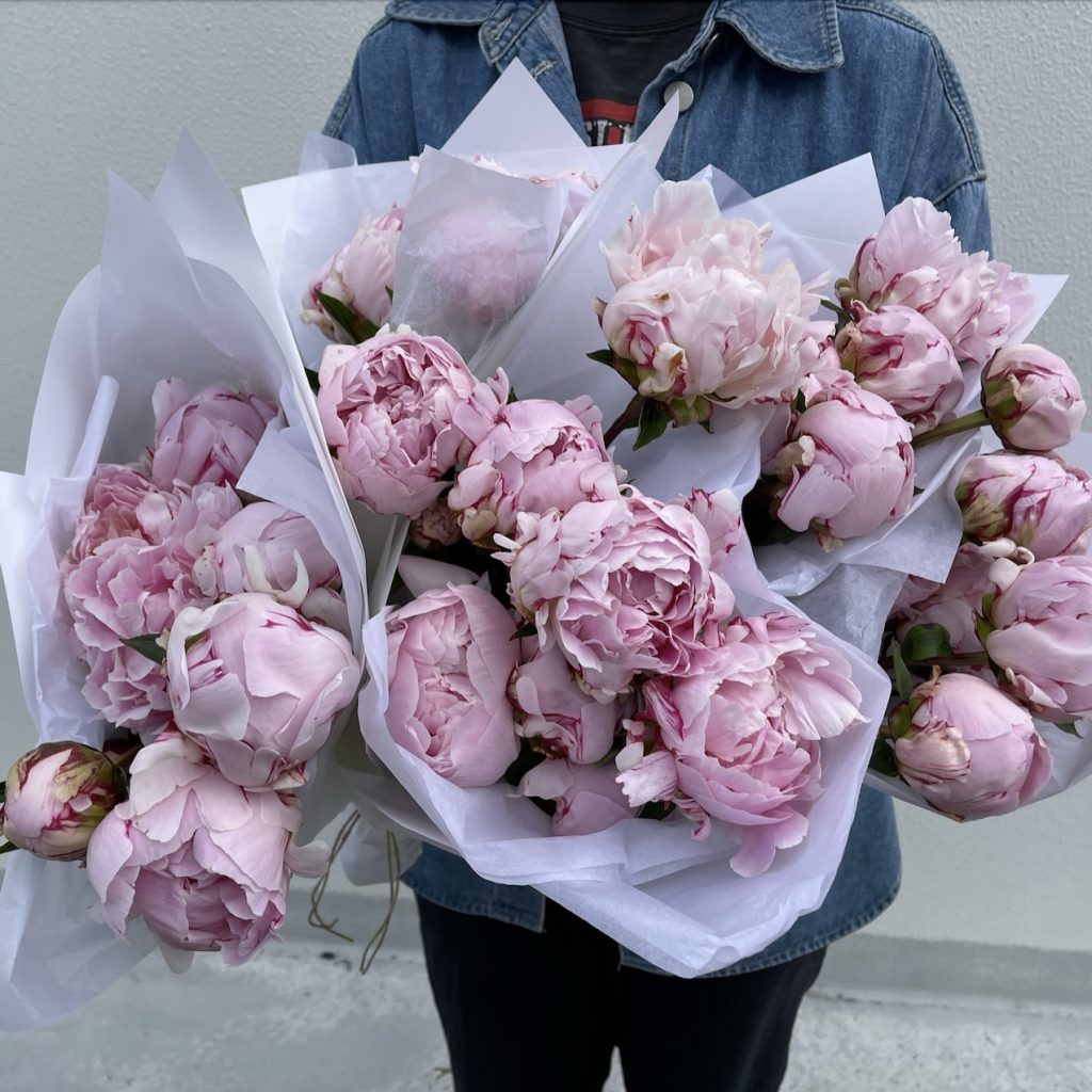 Light pink Peony bunches wrapped in white paper for Sydney delivery.