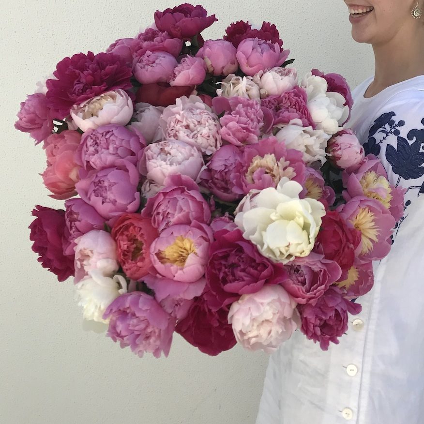 Mixed Peony varieties in pink, coral and white shades.