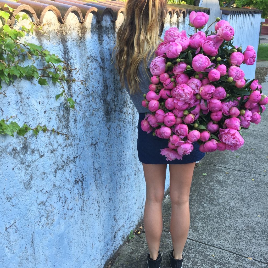 Dozens of Peony bunches lined up at Little Flowers HQ in Sydney.