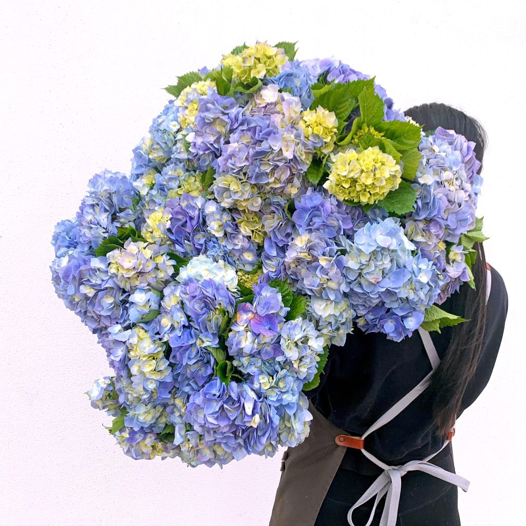 Locally grown hydrangeas in Sydney by Little Flowers