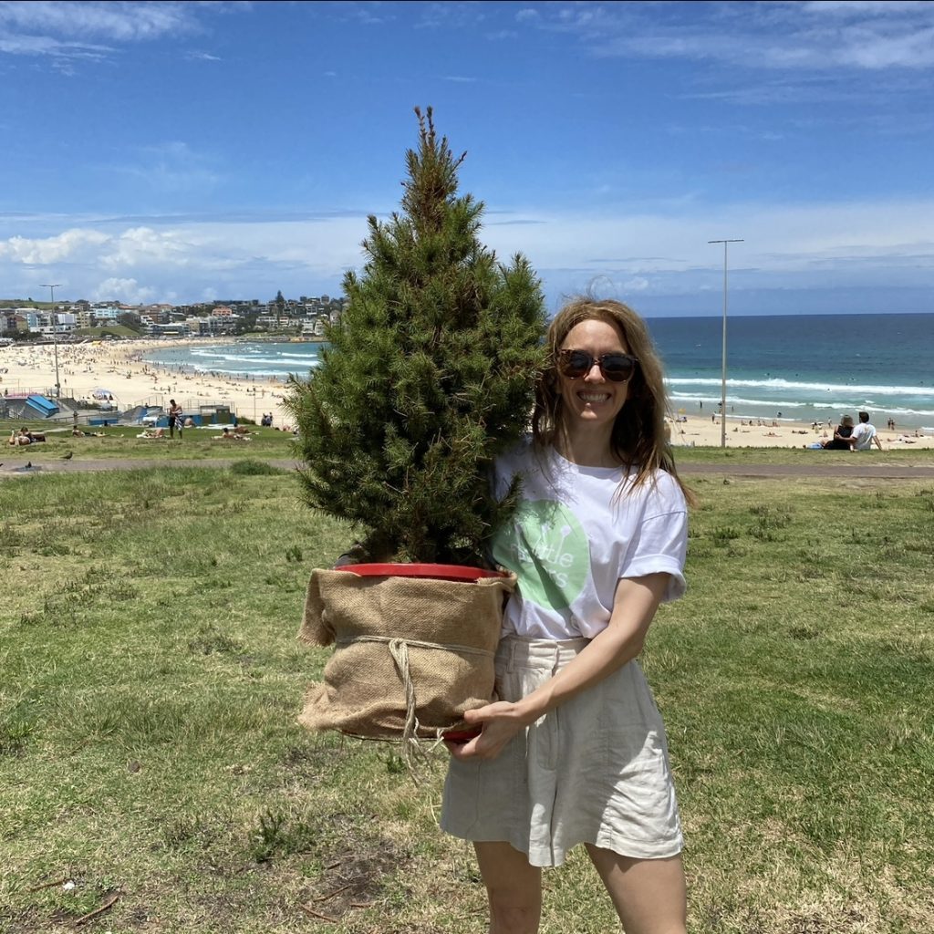 Collecting Little Flowers live Christmas trees from Bondi Beach