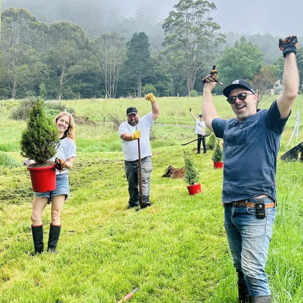 Little Flowers team planting live Christmas trees after delivery from Sydney