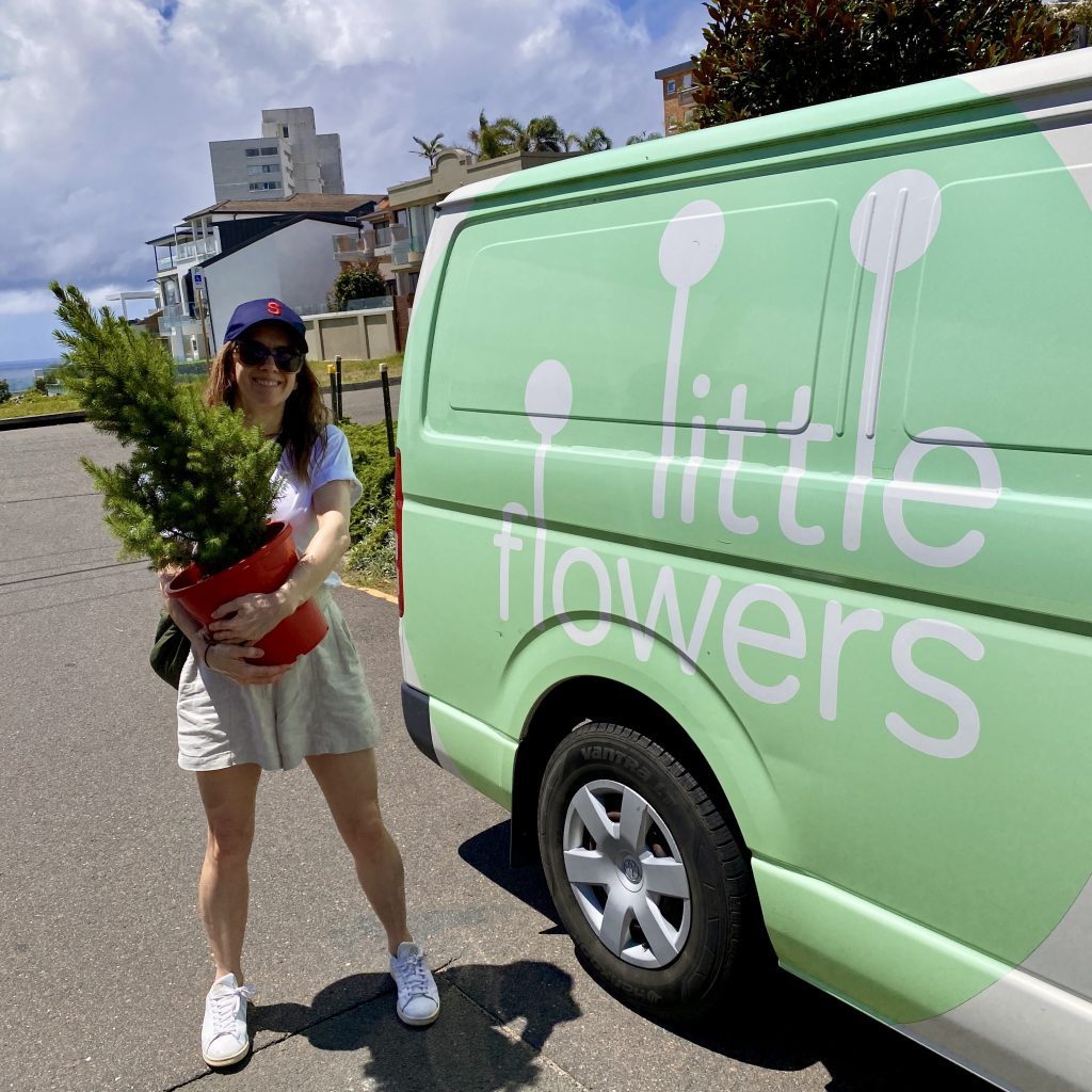 same day flower tree delivery sydney