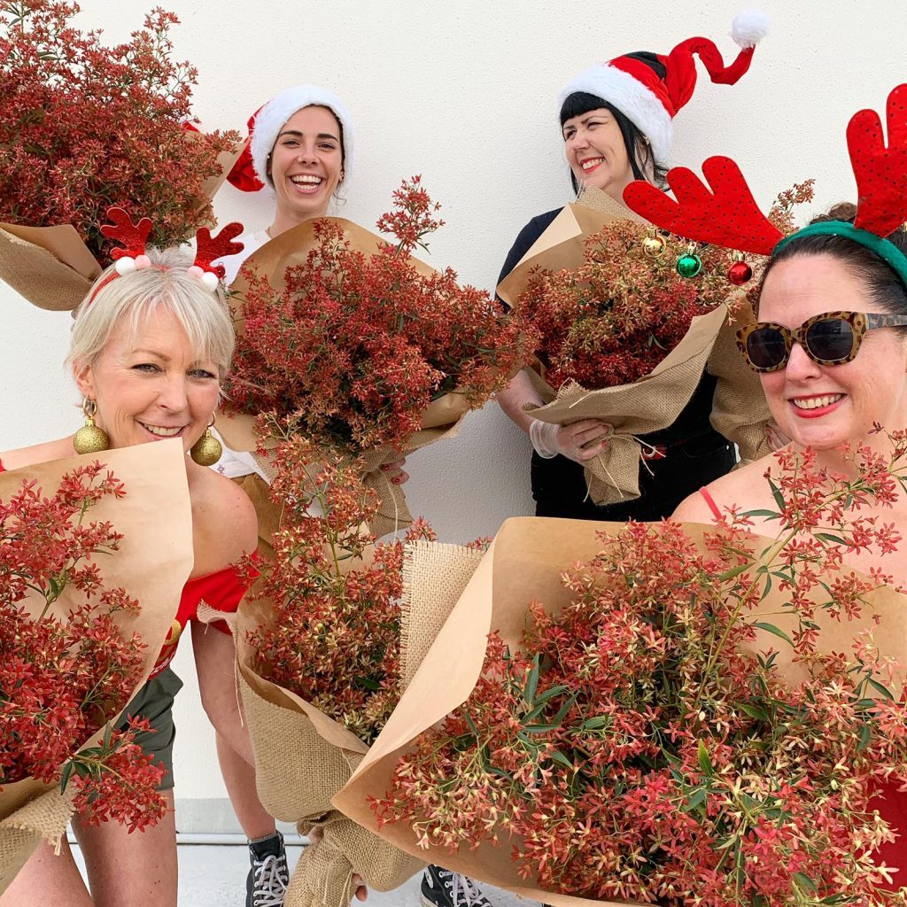 sydney christmas bush