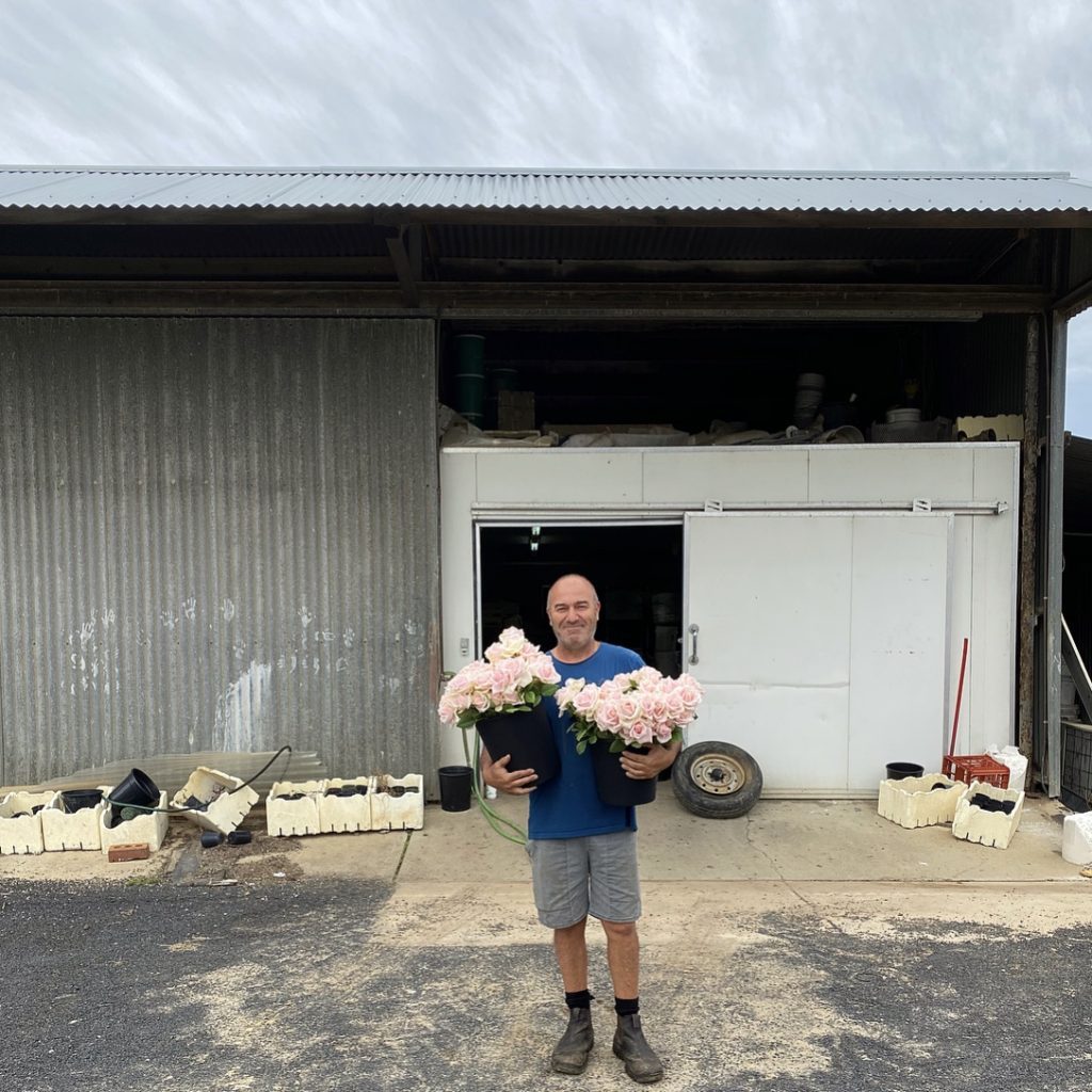 Australian flower farmer holding roses