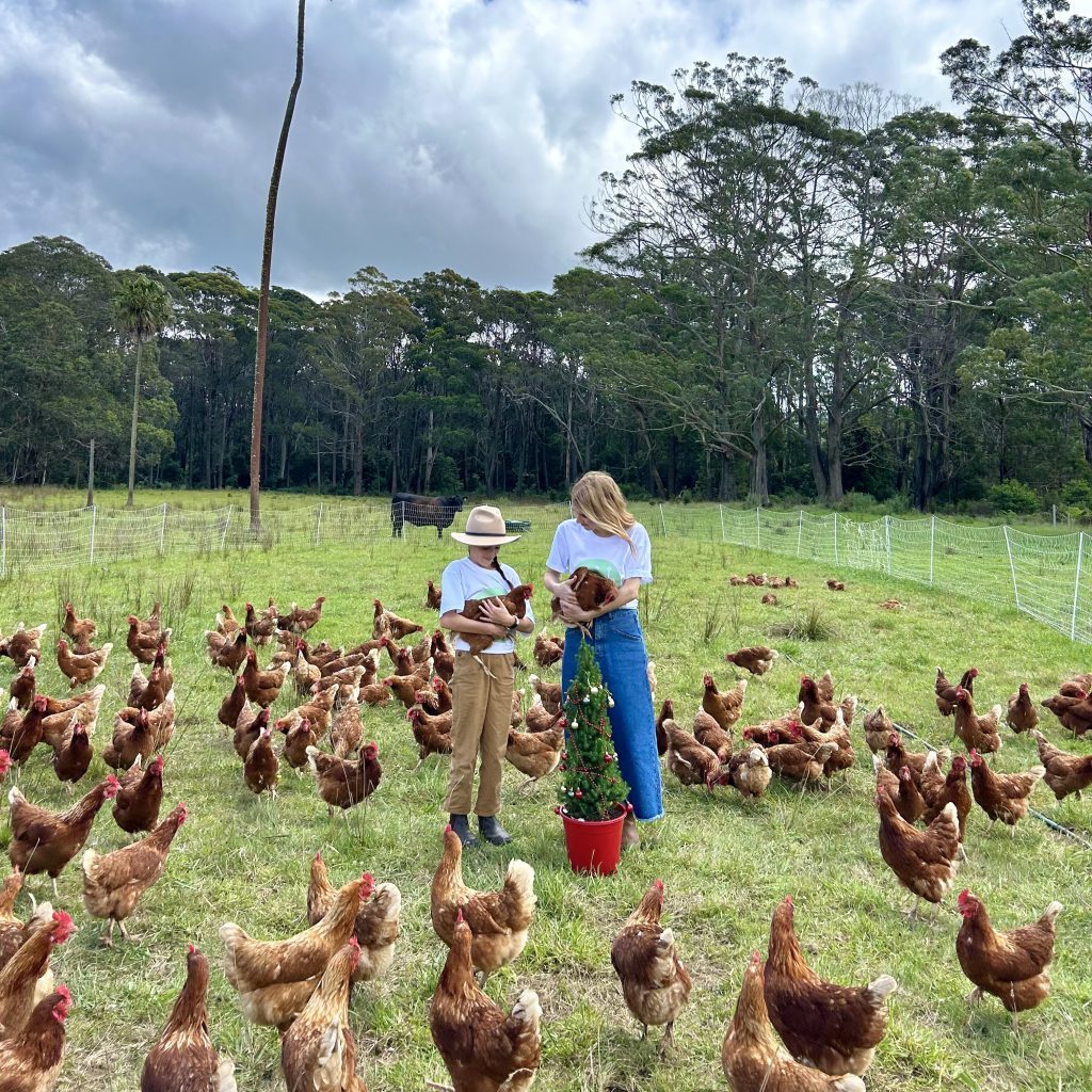 Wide view of Jamberoo Mountain Farm in the Southern Highlands where trees are replanted