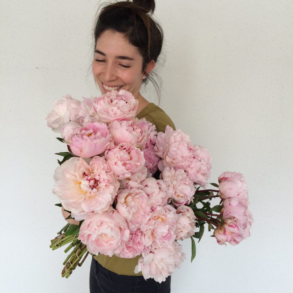 Peony flowers held by Sydney florist