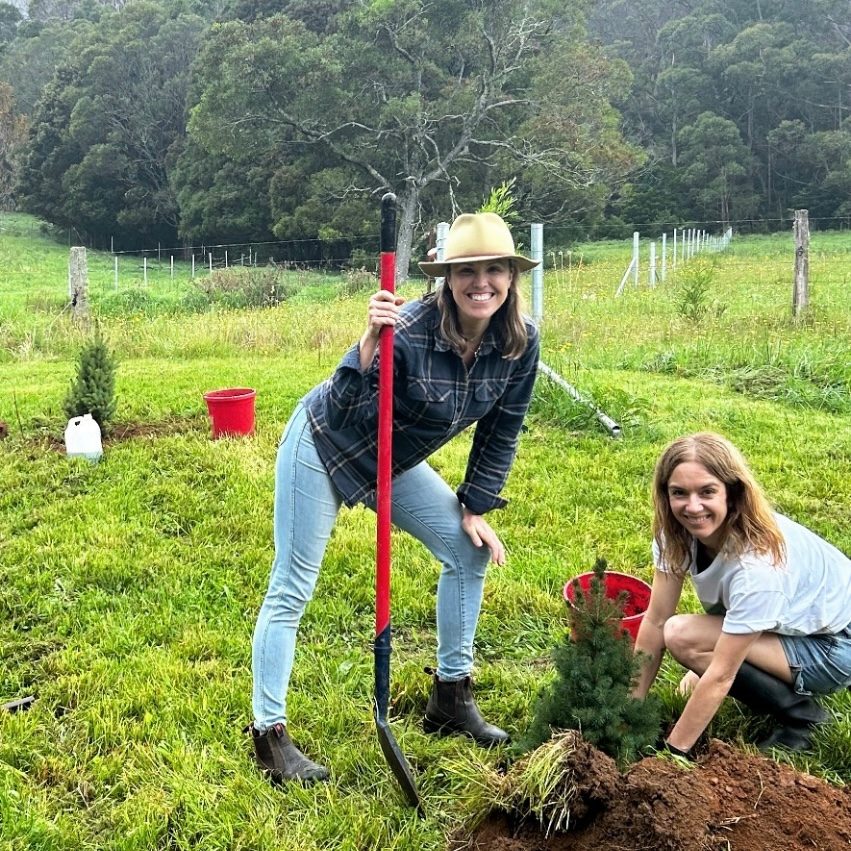 Farmer and Little Flowers team member planting a Christmas tree into the ground