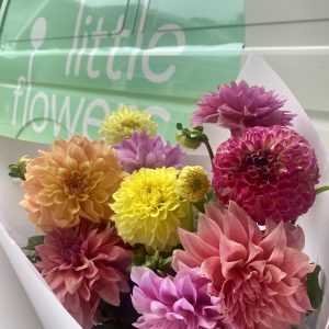 dahlia bouquet ready for delivery in Sydney from Little Flowers