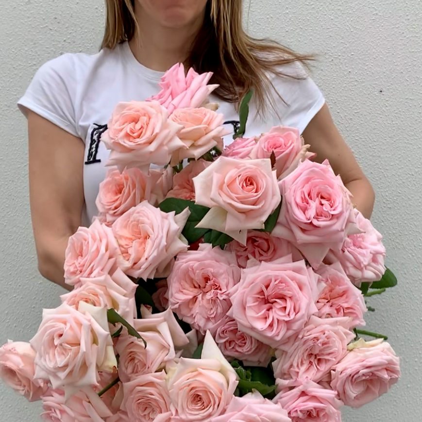 florist holding locally grown garden roses at Sydney Flower Market