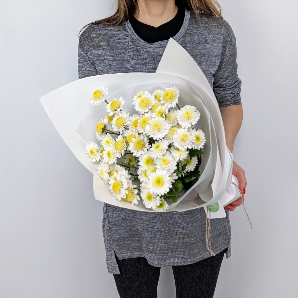 button chrysanthemums seasonal flower bunch