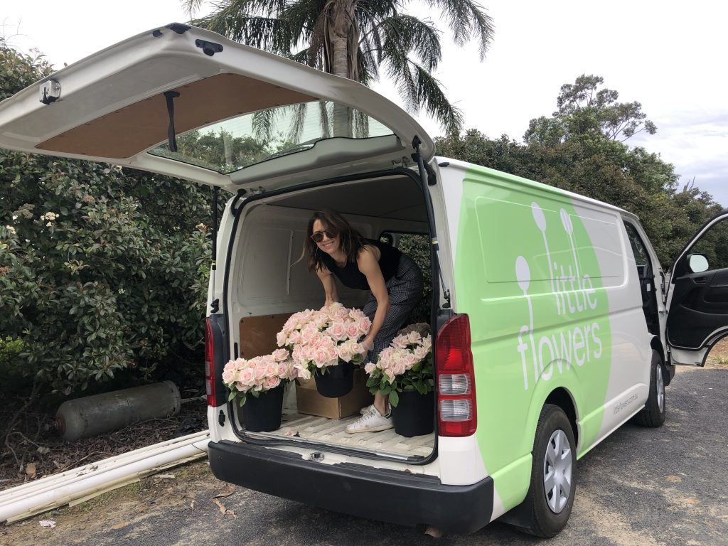 Florist loading buckets of roses onto van at flower farm