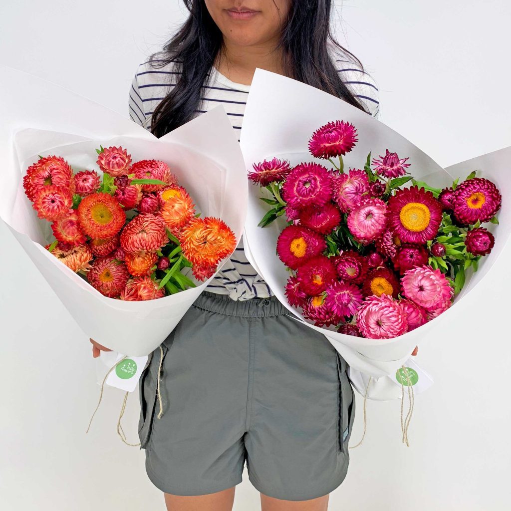 paper daisies seasonal flower bunch Sydney