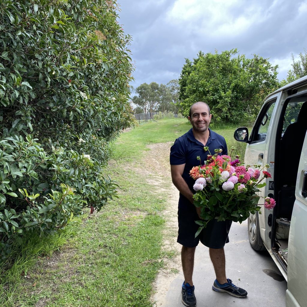Australian flower grower holding locally grown flowers